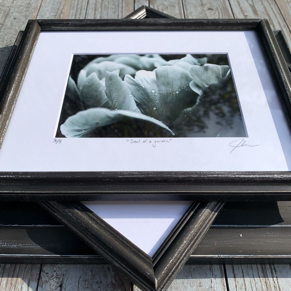 “soul of a garden” - limited edition print (3/5), signed and numbered.